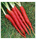 Carrot IVCTH-901 250 grams